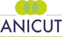 Anicut Capital